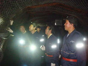 供應煤礦支護網(wǎng)