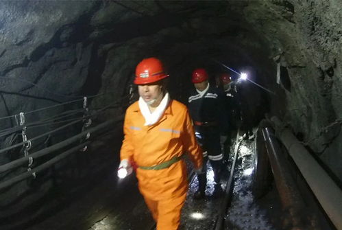 區(qū)委書記王崇峰深入長山礦業(yè)井下檢查煤礦安全生產(chǎn)工作