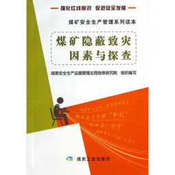 煤礦隱蔽致災(zāi)因素與探查 煤礦安全生產(chǎn)管理系列讀本